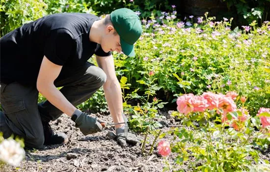 Was bringt der April dem Gärtner an Arbeit?