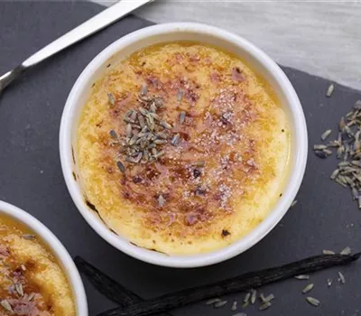 Crème brûlée mit Lavendel